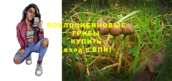 скорость Краснотурьинск