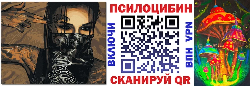 omg как зайти Краснослободск Псилоцибиновые грибы мицелий
